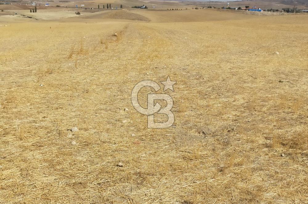 Gölbaşı Mahmatlıbahçede 16.507 m² Tarla, Büyük Parsel Yatırımı