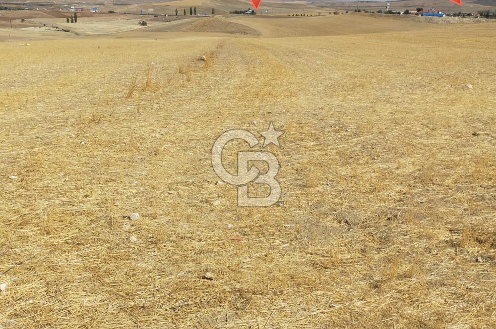 Gölbaşı Mahmatlıbahçede 16.507 m² Tarla, Büyük Parsel Yatırımı