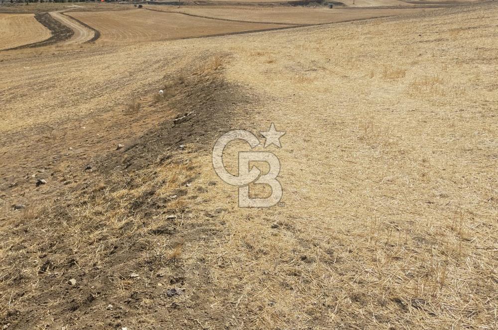 Gölbaşı Mahmatlıbahçede 16.507 m² Tarla, Büyük Parsel Yatırımı