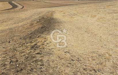 Gölbaşı Mahmatlıbahçede 16.507 m² Tarla, Büyük Parsel Yatırımı