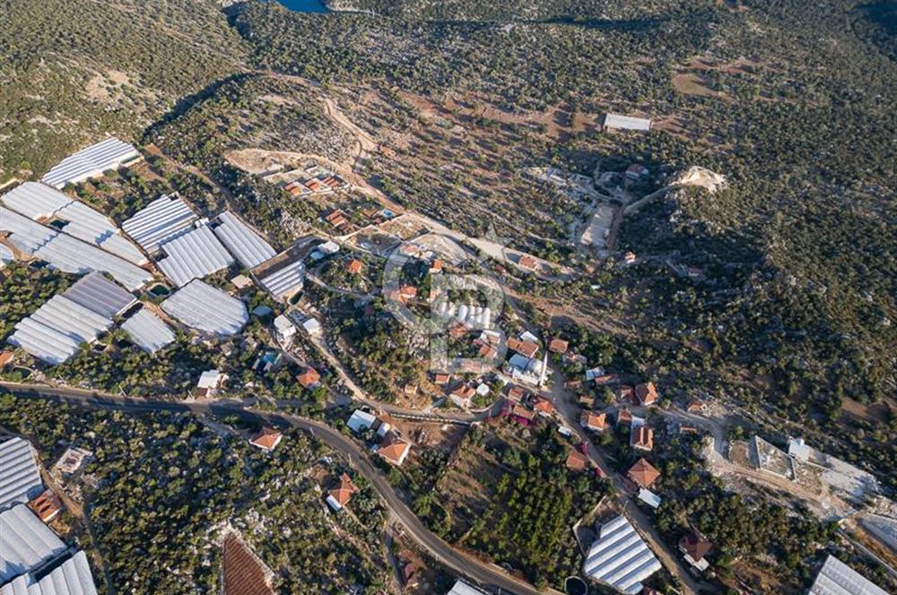 CB ARDENDEN ANTALYA DEMRE KAPAKLIDA 1452 M2 SATILIK TARLA