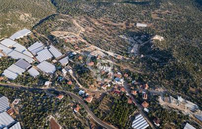 CB ARDENDEN ANTALYA DEMRE KAPAKLIDA 1452 M2 SATILIK TARLA