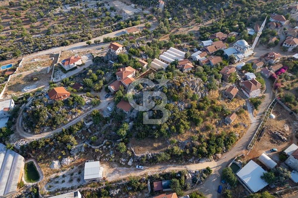 CB ARDENDEN ANTALYA DEMRE KAPAKLIDA 1452 M2 SATILIK TARLA