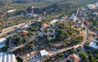 CB ARDENDEN ANTALYA DEMRE KAPAKLIDA 1452 M2 SATILIK TARLA