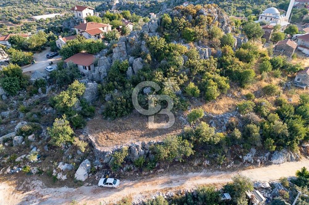 CB ARDENDEN ANTALYA DEMRE KAPAKLIDA 1452 M2 SATILIK TARLA