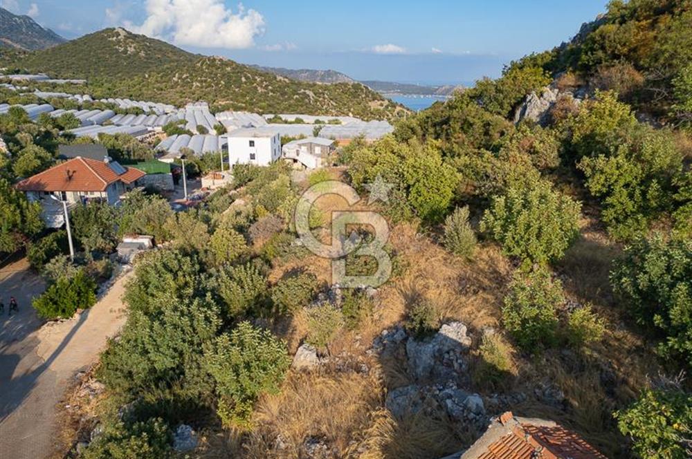 CB ARDENDEN ANTALYA DEMRE KAPAKLIDA 1452 M2 SATILIK TARLA