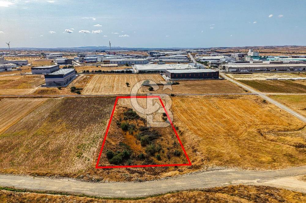 Veliköy OSB’ye Yakın Satılık Arsa