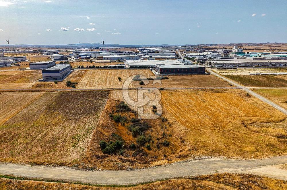 Veliköy OSB’ye Yakın Satılık Arsa