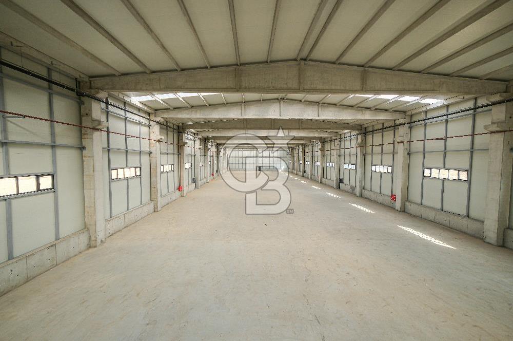 Veliköy Osb Yanı Kiralık