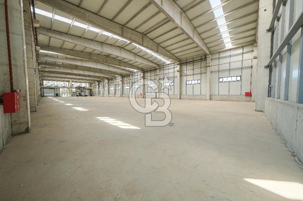 Veliköy Osb Yanı Kiralık