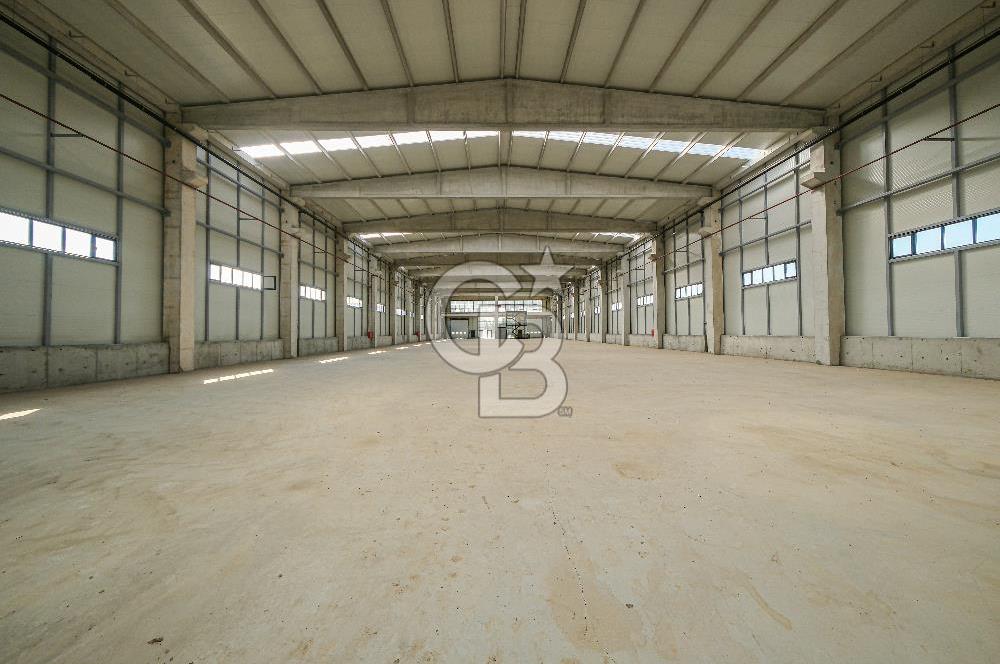 Veliköy Osb Yanı Kiralık