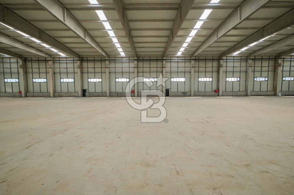 Veliköy Osb Yanı Kiralık