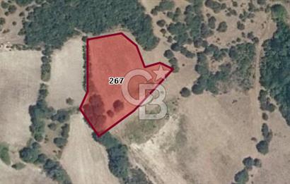 CB BLACK'TAN KARACABEY ÇEŞNIGİR'DE 2700 M2 SATILIK TARLA