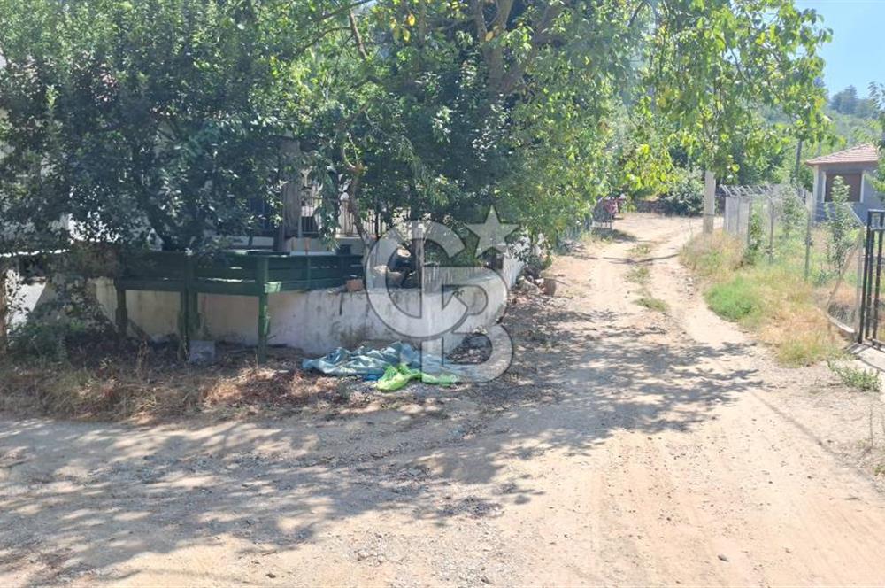 Bayındır Alankıyı Köyünde Meyve Ağaçlı Keyifli Satılık Bahçe