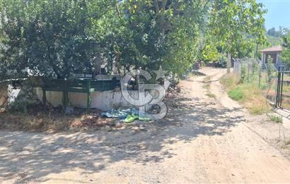 Bayındır Alankıyı Köyünde Meyve Ağaçlı Keyifli Satılık Bahçe