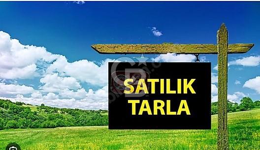 DEĞERLİ BÖLGE/ YATIRIMLIK/KÖK TAPU