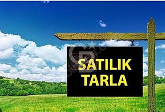 DEĞERLİ BÖLGE/ YATIRIMLIK/KÖK TAPU