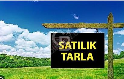 DEĞERLİ BÖLGE/ YATIRIMLIK/KÖK TAPU