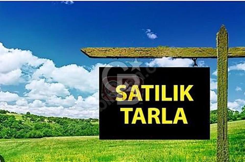 DEĞERLİ BÖLGE/ YATIRIMLIK/KÖK TAPU