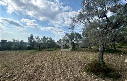 Buca Kırklar Köyünde 7400 m² Manzaralı Tek Tapu Satılık Tarla