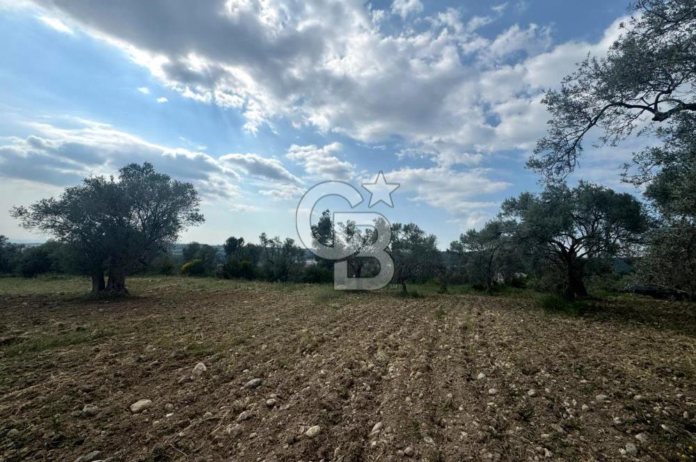 Buca Kırklar Köyünde 7400 m² Manzaralı Tek Tapu Satılık Tarla