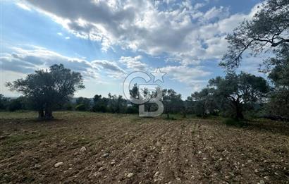 Buca Kırklar Köyünde 7400 m² Manzaralı Tek Tapu Satılık Tarla