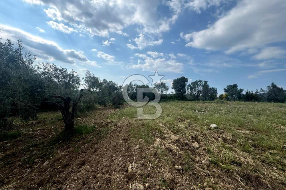 Buca Kırklar Köyünde 7400 m² Manzaralı Tek Tapu Satılık Tarla