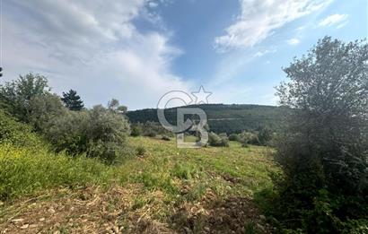 Buca Kırklar Köy Merkezine Yakın 5840 m² Tek Tapu Satılık Tarla