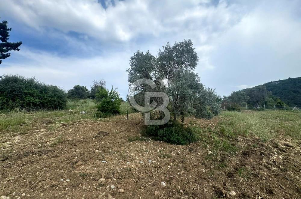 Buca Kırklar Köy Merkezine Yakın 5840 m² Tek Tapu Satılık Tarla