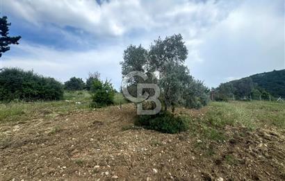 Buca Kırklar Köy Merkezine Yakın 5840 m² Tek Tapu Satılık Tarla