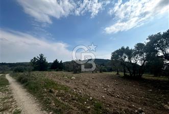 Buca Kırklar Köyünde 7400 m² Manzaralı Tek Tapu Satılık Tarla