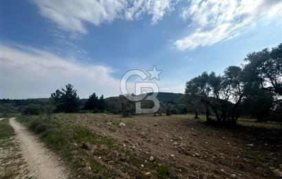 Buca Kırklar Köyünde 7400 m² Manzaralı Tek Tapu Satılık Tarla
