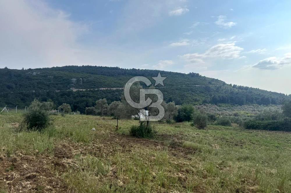 Buca Kırklar Köy Merkezine Yakın 5840 m² Tek Tapu Satılık Tarla