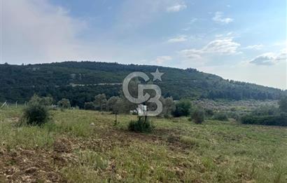 Buca Kırklar Köy Merkezine Yakın 5840 m² Tek Tapu Satılık Tarla