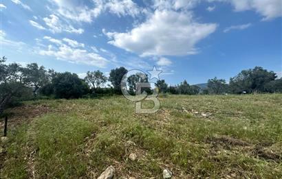 Buca Kırklar Köyünde 7400 m² Manzaralı Tek Tapu Satılık Tarla