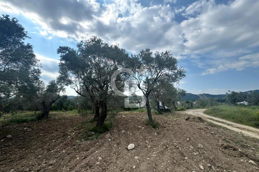 Buca Kırklar Köyünde 7400 m² Manzaralı Tek Tapu Satılık Tarla