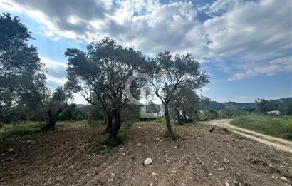 Buca Kırklar Köyünde 7400 m² Manzaralı Tek Tapu Satılık Tarla
