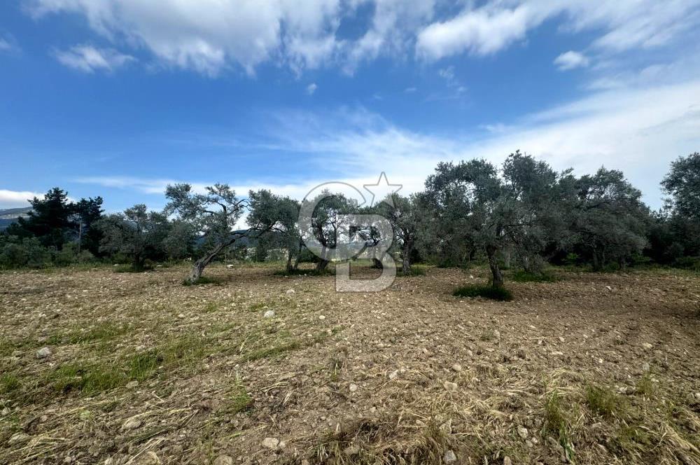 Buca Kırklar Köyünde 7400 m² Manzaralı Tek Tapu Satılık Tarla