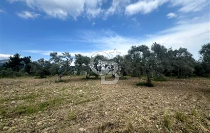Buca Kırklar Köyünde 7400 m² Manzaralı Tek Tapu Satılık Tarla