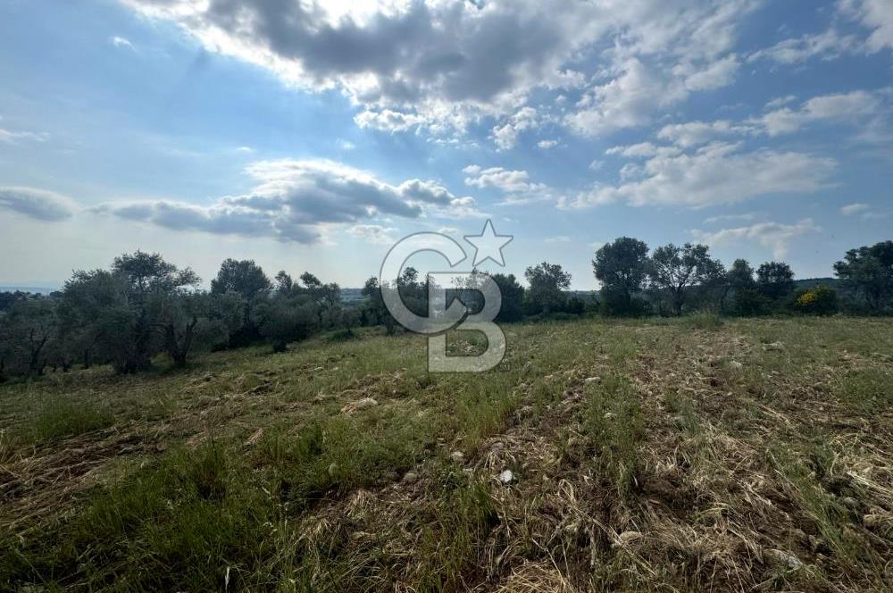 Buca Kırklar Köyünde 7400 m² Manzaralı Tek Tapu Satılık Tarla