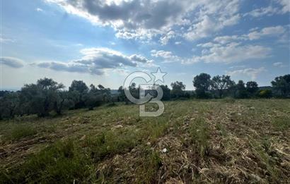 Buca Kırklar Köyünde 7400 m² Manzaralı Tek Tapu Satılık Tarla