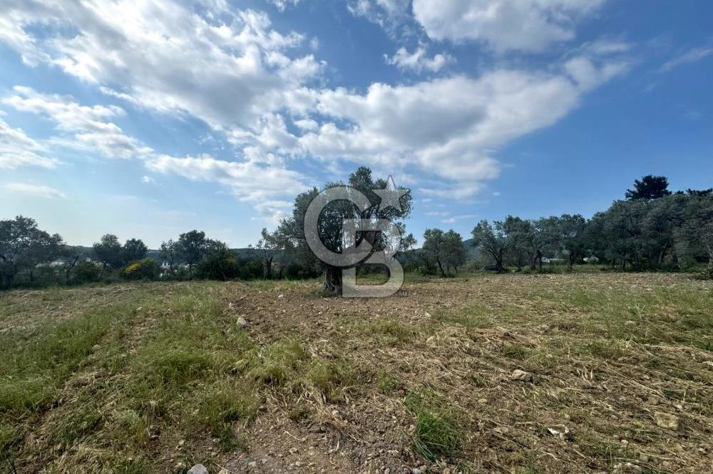 Buca Kırklar Köyünde 7400 m² Manzaralı Tek Tapu Satılık Tarla