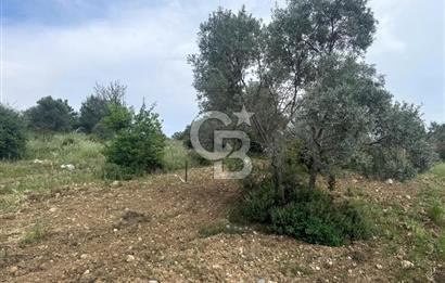 Buca Kırklar Köy Merkezine Yakın 5840 m² Tek Tapu Satılık Tarla