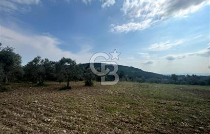 Buca Kırklar Köyünde 7400 m² Manzaralı Tek Tapu Satılık Tarla