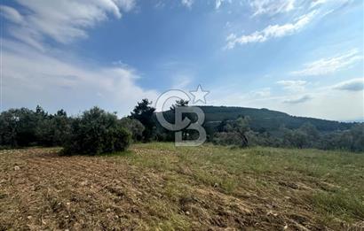 Buca Kırklar Köyünde 7400 m² Manzaralı Tek Tapu Satılık Tarla