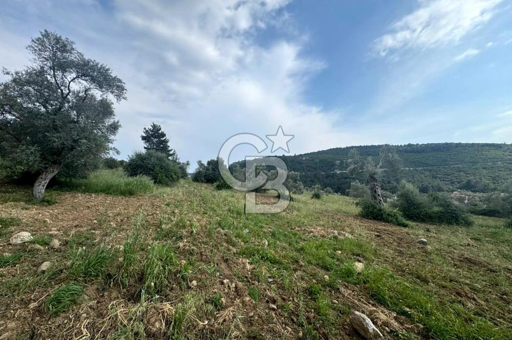 Buca Kırklar Köy Merkezine Yakın 5840 m² Tek Tapu Satılık Tarla