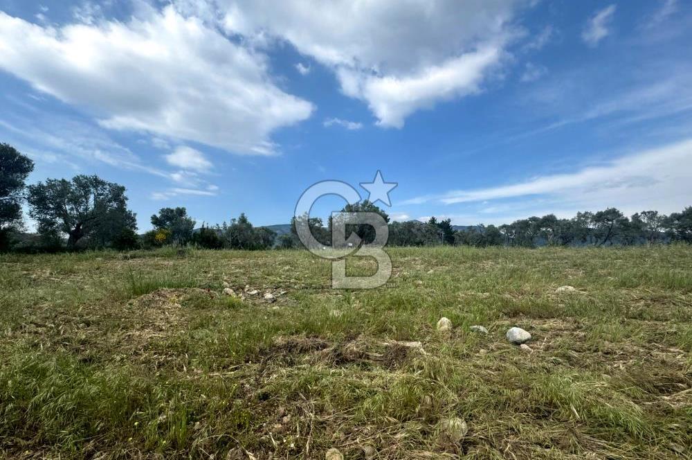 Buca Kırklar Köyünde 7400 m² Manzaralı Tek Tapu Satılık Tarla