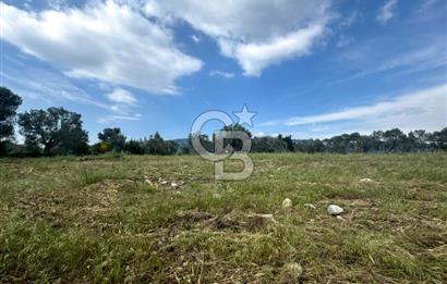 Buca Kırklar Köyünde 7400 m² Manzaralı Tek Tapu Satılık Tarla