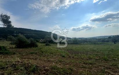 Buca Kırklar Köy Merkezine Yakın 5840 m² Tek Tapu Satılık Tarla