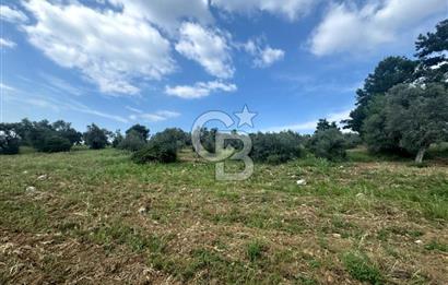 Buca Kırklar Köy Merkezine Yakın 5840 m² Tek Tapu Satılık Tarla